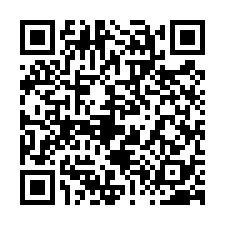 QR code for 8094381