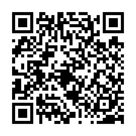 QR code for 8096008