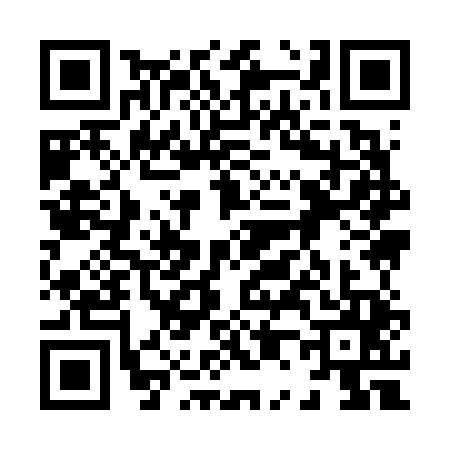 QR code for 8096459