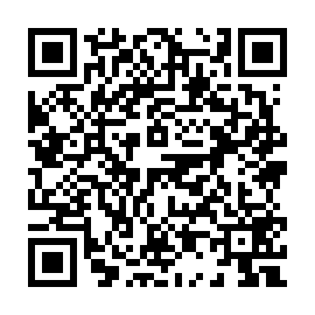 QR code for 8096591