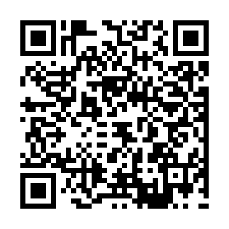 QR code for 8133541
