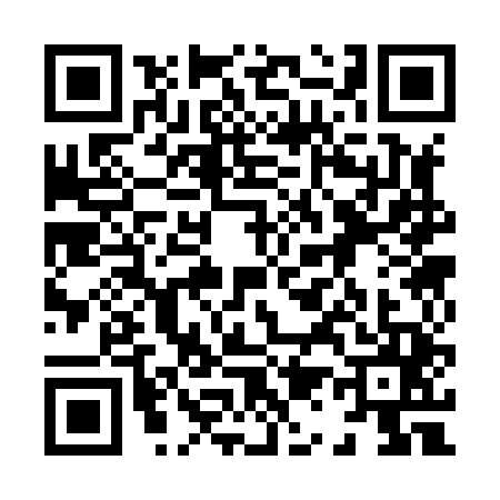 QR code for 8138455