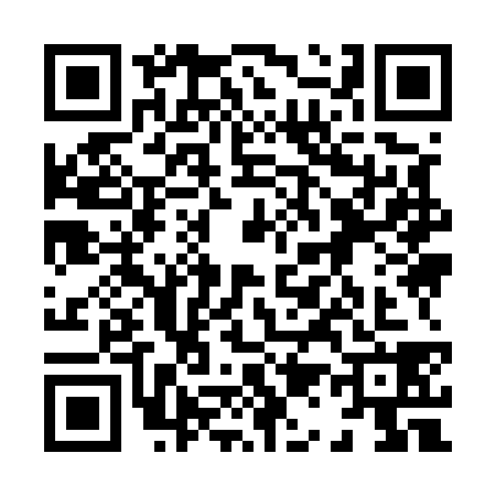 QR code for 8195384