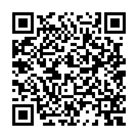 QR code for 8200161
