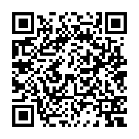 QR code for 8207325