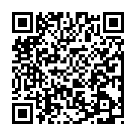 QR code for 8225379