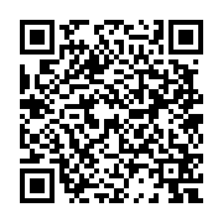 QR code for 8234629
