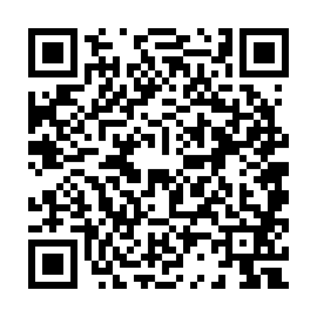 QR code for 8262829