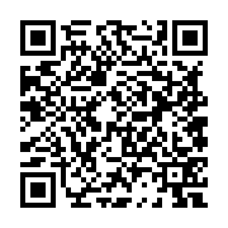 QR code for 8268738