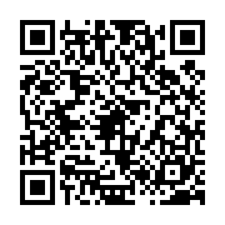 QR code for 8294656