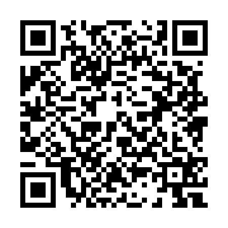 QR code for 8385243