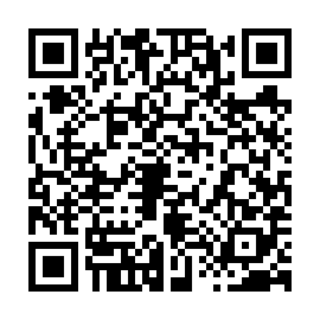 QR code for 8456881