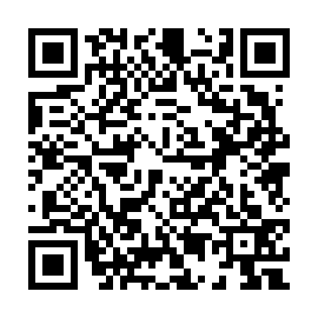 QR code for 8506333