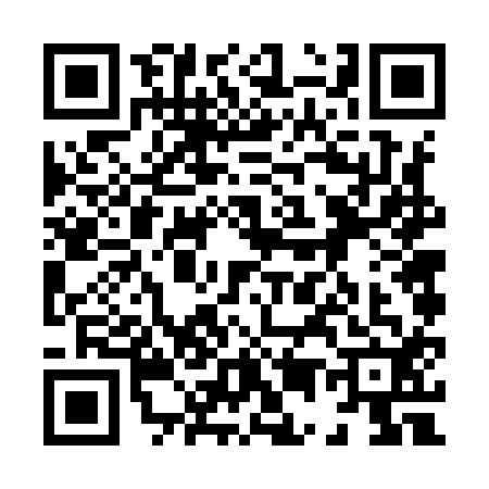 QR code for 8569125