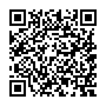 QR code for 8579911