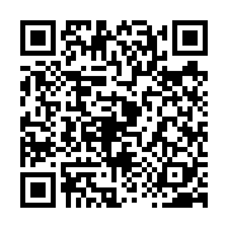 QR code for 8596295
