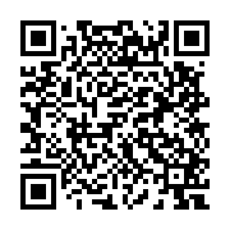 QR code for 863541