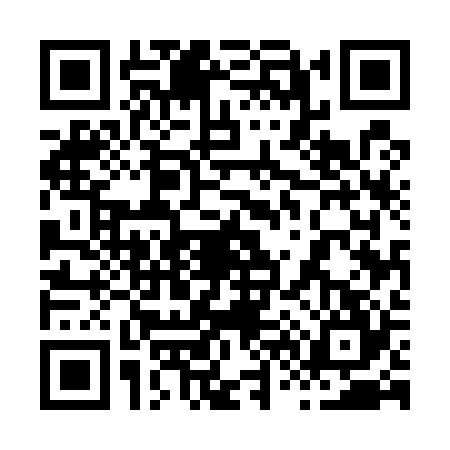 QR code for 8655248