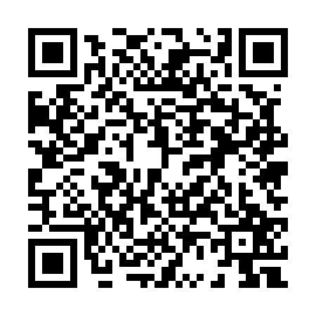 QR code for 8655272