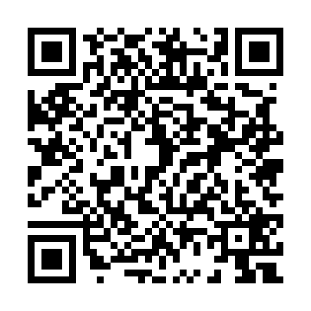 QR code for 8655290