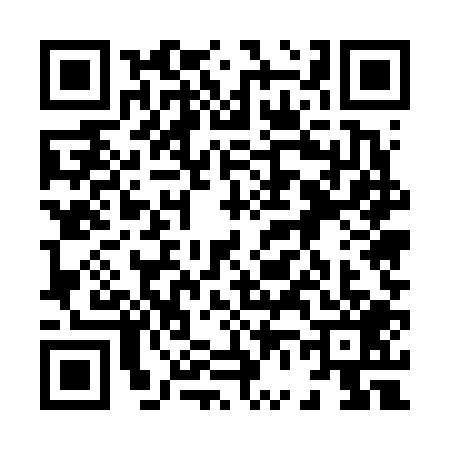 QR code for 8656095