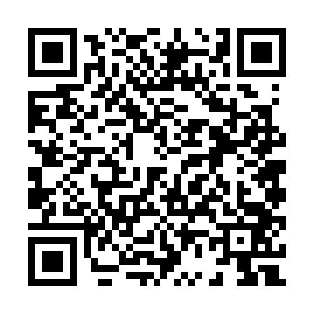 QR code for 8663438