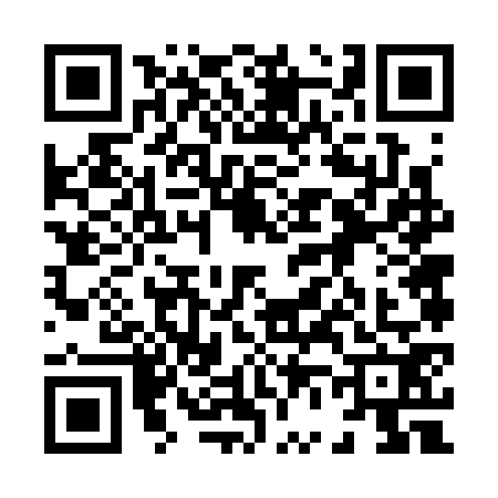 QR code for 8663725
