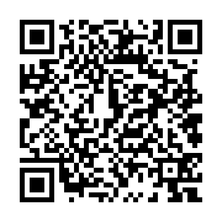 QR code for 8665320