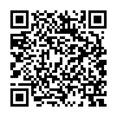 QR code for 8666160