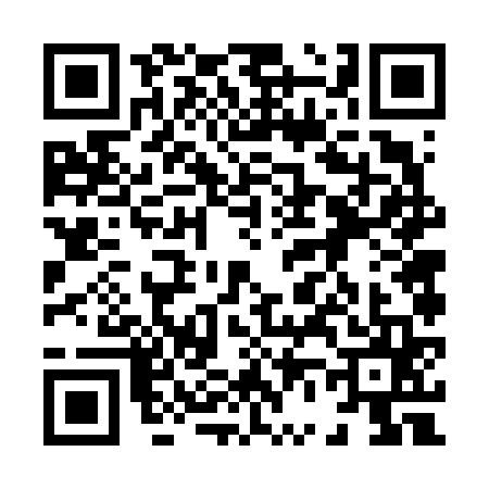 QR code for 8666653