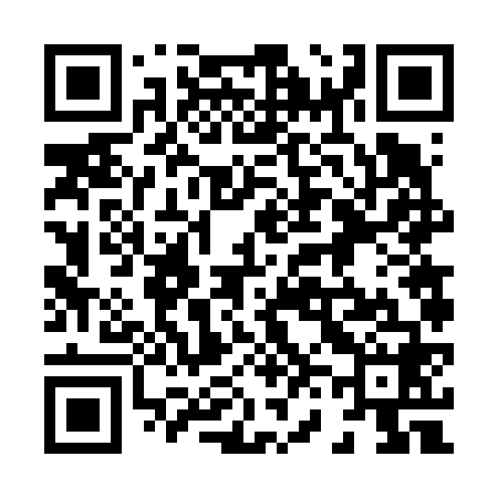 QR code for 866668