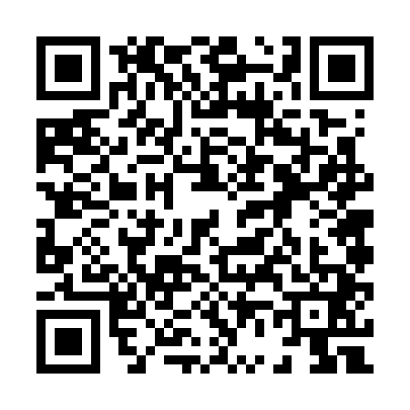 QR code for 8667411