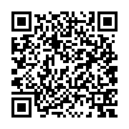 QR code for 8667717