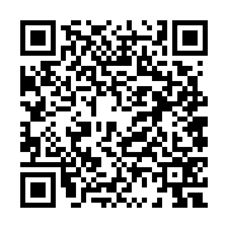 QR code for 8667763