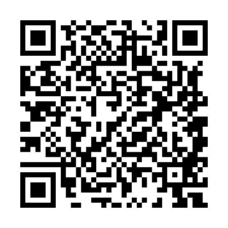 QR code for 8668895