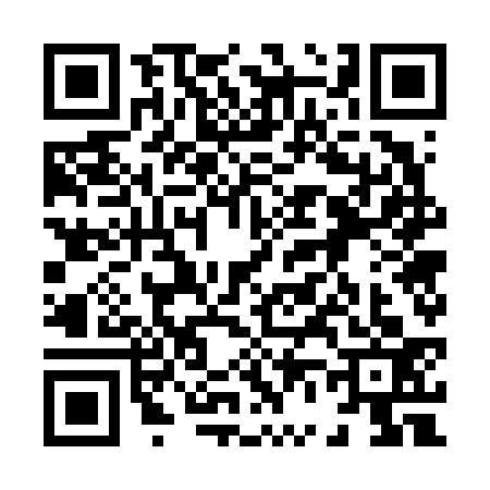 QR code for 8676336