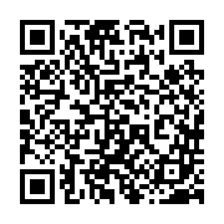 QR code for 868243