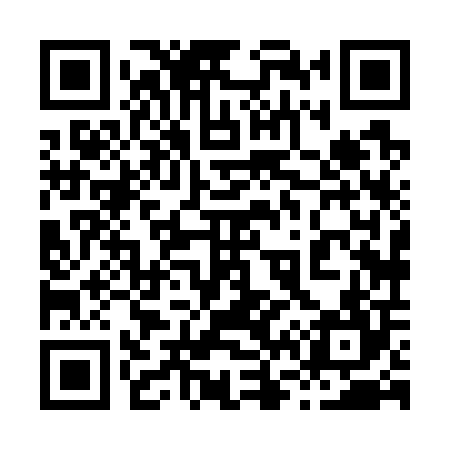 QR code for 868704