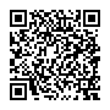 QR code for 8687919