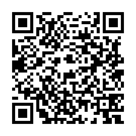 QR code for 8738781