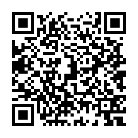 QR code for 8745333