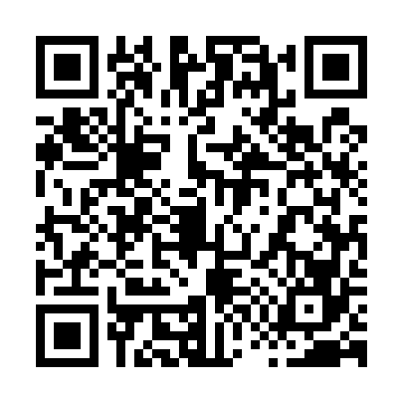 QR code for 8755668