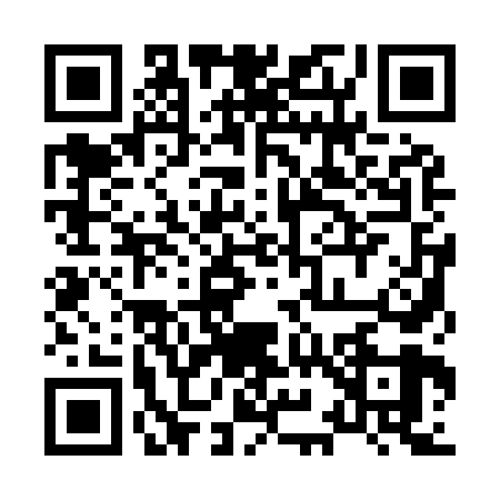 QR code for 8919691