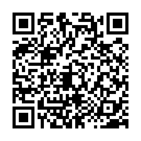 QR code for 8955393
