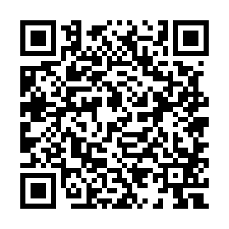 QR code for 8955833