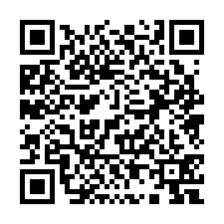 QR code for 9003313