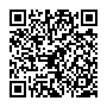 QR code for 9056651