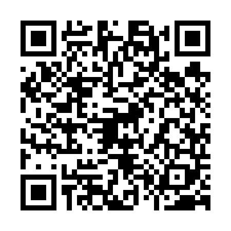QR code for 9096494