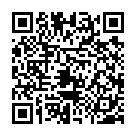 QR code for 9106313
