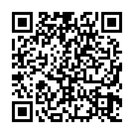 QR code for 9119294